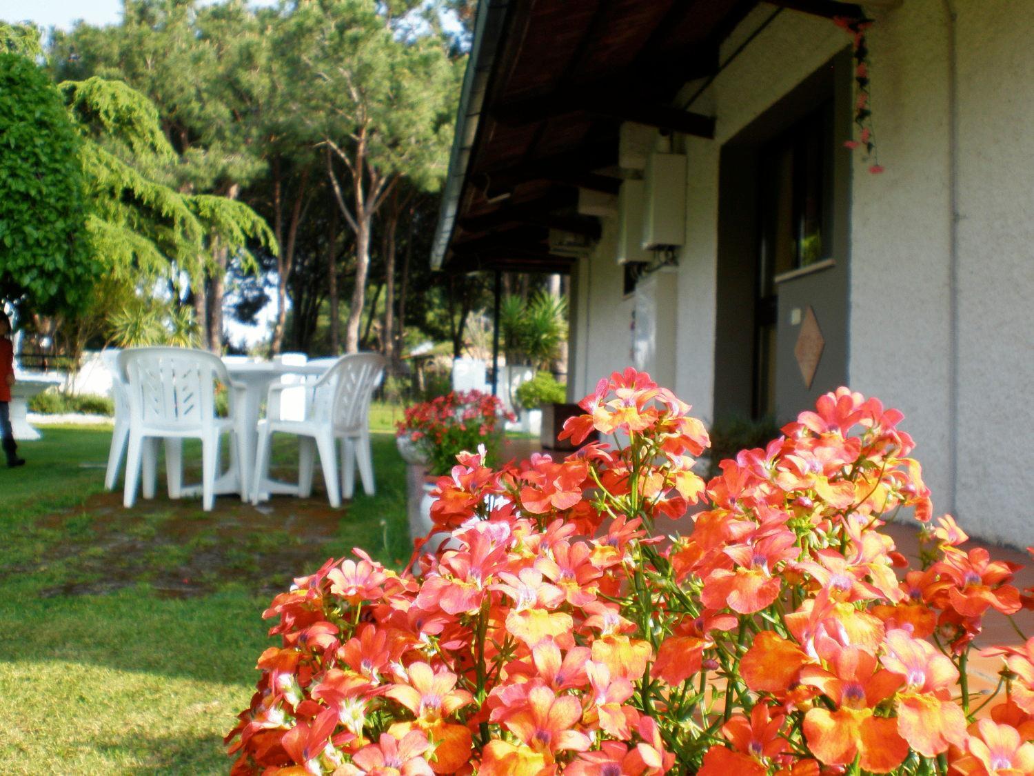 Villa Isabella Marina di Grosseto Exterior photo